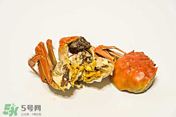 螃蟹怎么保存(螃蟹怎么保存才新鲜,能保存多久)