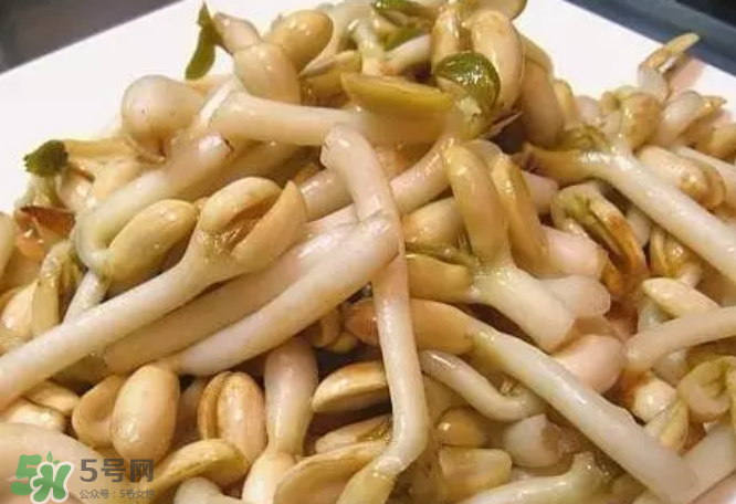 花生芽有什么用(花生芽有什么用途) 花生芽有什么用(花生芽有什么用途)