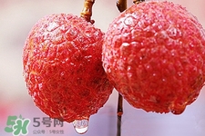 山竹的功效和作用(山竹的功效和作用禁忌) 山竹的功效和作用(山竹的功效和作用禁忌)