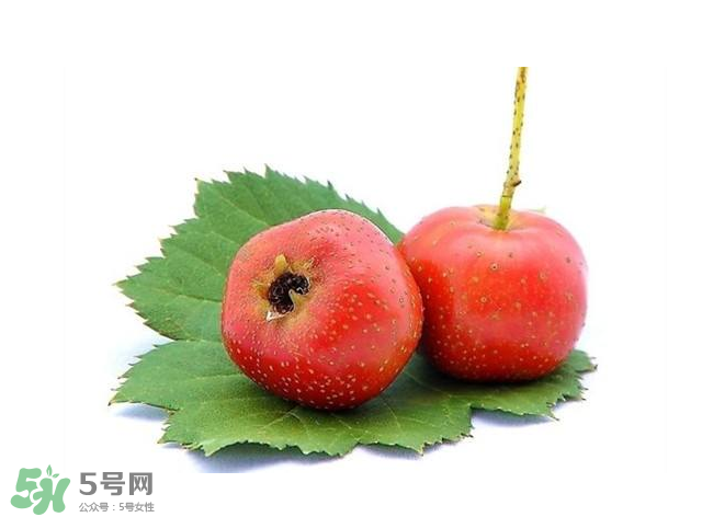 山楂和什么泡水喝好(山楂和什么泡水喝好的功效和作用)