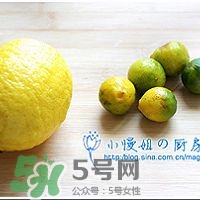 柠檬金桔饮的做法步骤(金桔柠檬茶的做法家庭版)