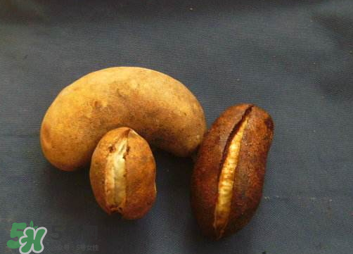 八月炸怎么算熟(八月炸怎么算熟了)