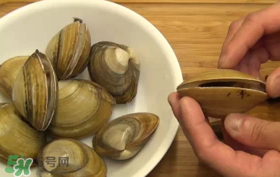 北极贝怎么处理(北极贝怎么处理视频)