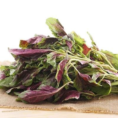 红苋菜为什么不适合晚上吃(苋菜为什么不能晚上吃) 红苋菜为什么不适合晚上吃(苋菜为什么不能晚上吃)