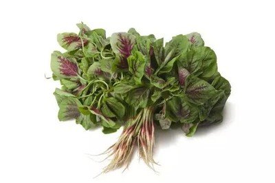 混血小颜眉特点(混血儿眉毛特点)