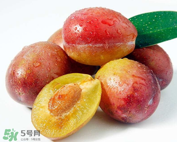 西梅的食用处理方法(西梅怎么吃)