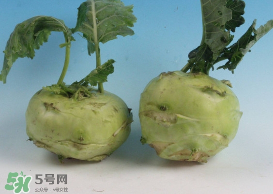 苤蓝的营养价值(苤蓝的营养价值和功效)