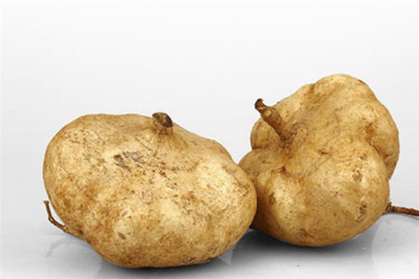 凉薯的功效(凉薯的功效和作用)