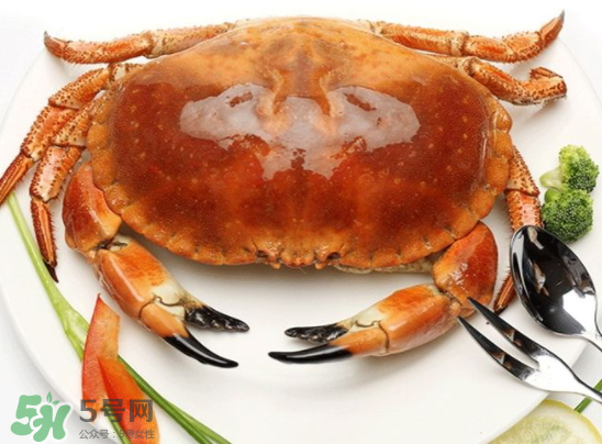 面包蟹的做法(面包蟹的做法怎么做好吃)