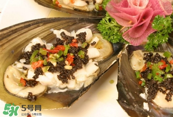 带子什么人不能吃(带子什么人不能吃)