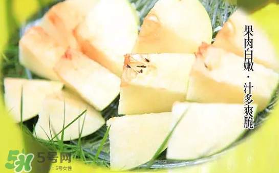 绿宝石梨怎么样(绿宝石梨的优缺点)