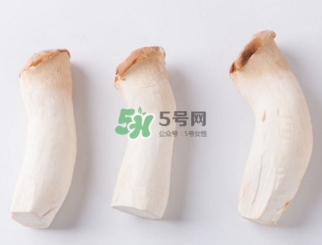 杏鲍菇如何保存(杏鲍菇如何保存可以放很长时间) 杏鲍菇如何保存(杏鲍菇如何保存可以放很长时间)