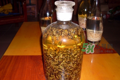 蜂蛹和枸杞泡酒的功效(蜂蛹和枸杞泡酒的功效)