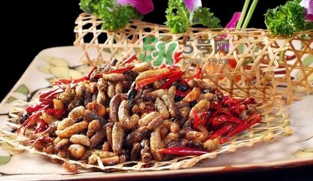 蜂蛹的选购方法(蜂蛹多少钱)