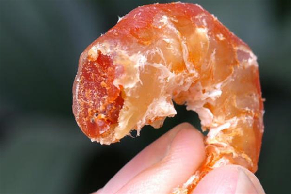 干虾仁的营养价值(干虾仁的营养价值及功效和作用)