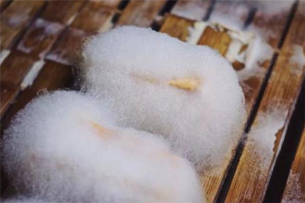 毛豆腐的营养价值(毛豆腐的营养价值及功效和作用) 毛豆腐的营养价值(毛豆腐的营养价值及功效和作用)