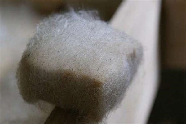 毛豆腐的家常做法(红烧毛豆腐的家常做法)