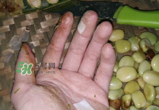 皂角米有毒吗(皂角米有毒吗?)