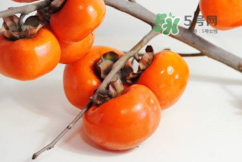 柿饼怎么做的(柿饼怎么做的方法家庭做法)