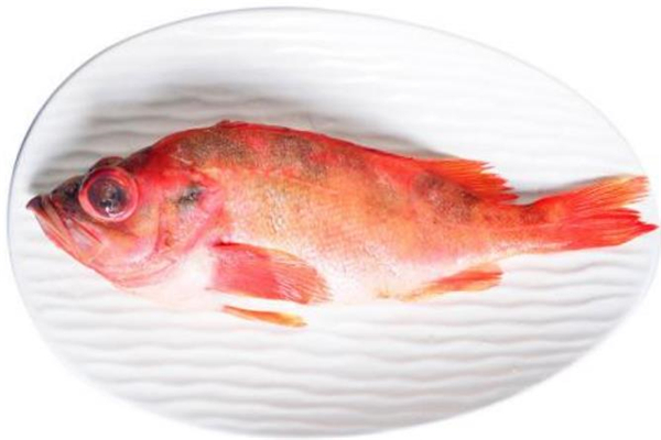 红石斑鱼的做法(红石斑鱼的做法大全家常做法)