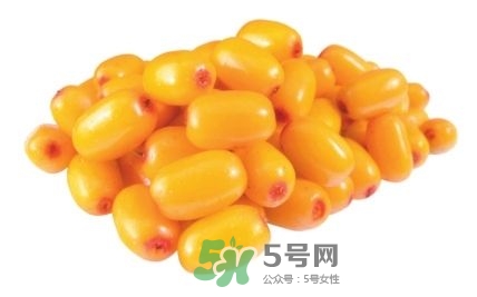 沙棘果的食用禁忌(沙棘的食用禁忌)