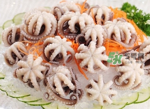 章鱼怎么吃(章鱼怎么吃和处理方法)