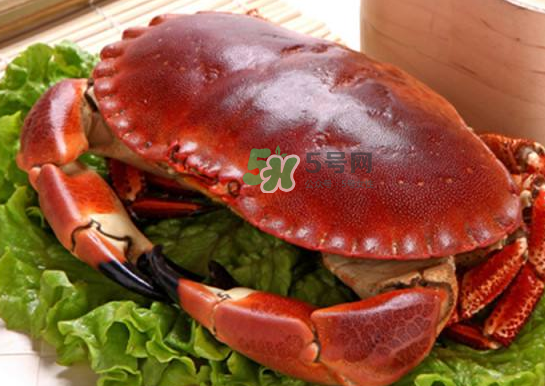 面包蟹煮多久(面包蟹煮多久可以吃)