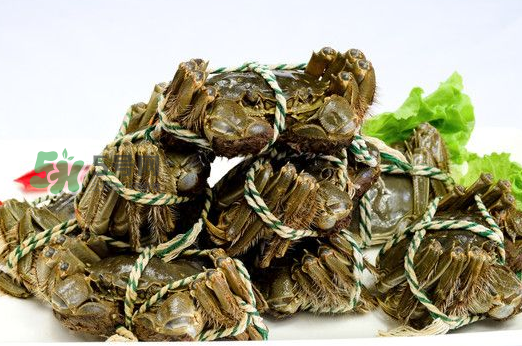 大闸蟹怎么养活得久(大闸蟹怎么养活得久)