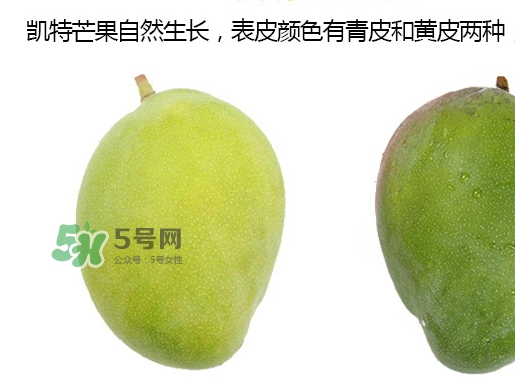 凯特芒果的禁忌(凯特芒果的禁忌)