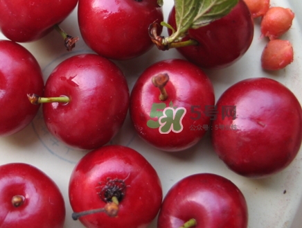 钙果什么味道(钙果什么味道)