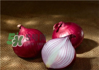 洋葱怎么吃减肥(洋葱怎么吃减肥效果好)