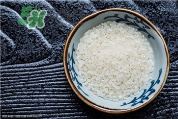 如何能有效防止大米生虫子(怎么防止大米生虫子) 如何能有效防止大米生虫子(怎么防止大米生虫子)