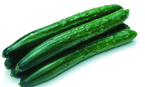 什么情况下吃黄瓜会拉肚子(为什么吃黄瓜会拉肚子)