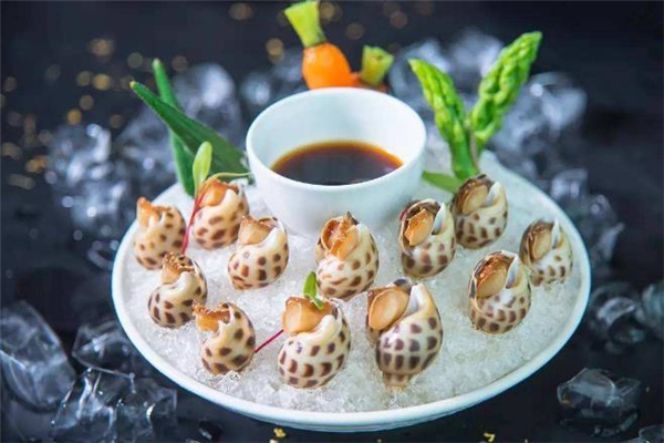 冰镇花螺的做法(冰镇花螺的做法窍门) 冰镇花螺的做法(冰镇花螺的做法窍门)