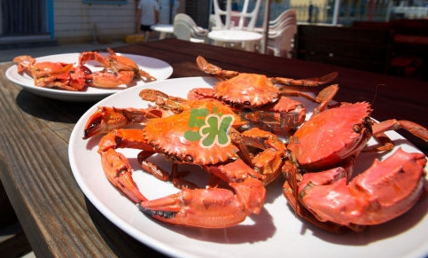 赤甲红螃蟹苦是什么原因(活螃蟹蟹黄苦是什么原因)