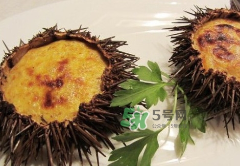 海胆死了还能吃吗(海胆死了还能吃吗?)