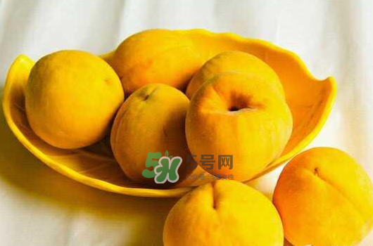 炎陵黄桃的优点(湖南炎陵黄桃简介)