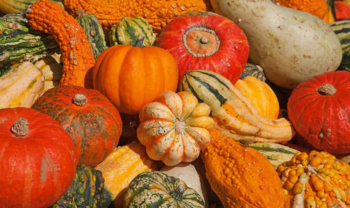 胃痛喝什么粥好(胃疼的人喝什么粥比较好)