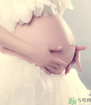 芦荟鸡汤怎么做好吃(芦荟煲鸡汤的做法大全)