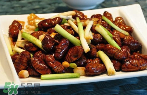 蝉蛹的营养价值(蚕蛹的营养价值分析) 蝉蛹的营养价值(蚕蛹的营养价值分析)