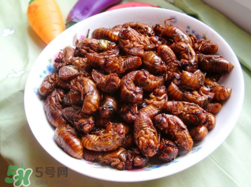 干煸知了的做法(干煸知了猴的做法)