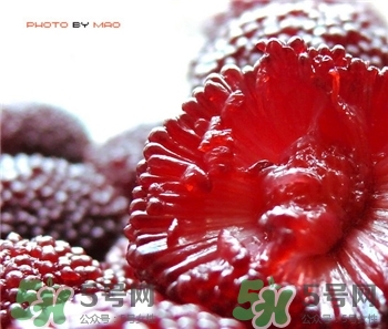 怎样挑选杨梅(怎样挑选杨梅)