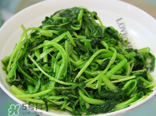 如何挑选鸡毛菜(如何挑选鸡毛菜)