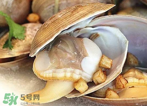 蚬子的做法(蚬子的做法家常做法)