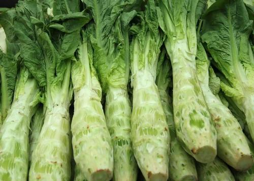 莴笋能放冰箱保存吗(莴笋能放冰箱保存吗)