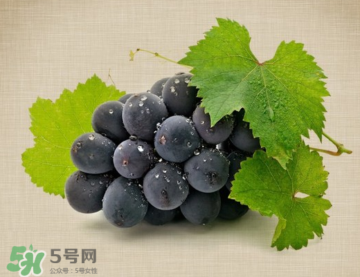 葡萄的营养分析(葡萄的营养分析)