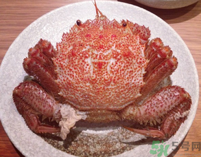 红毛蟹的吃法(红毛蟹的吃法)