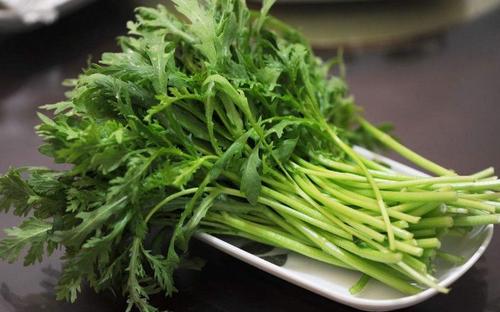 茼蒿包饺子需要焯水吗(茼蒿包饺子需要焯水吗)