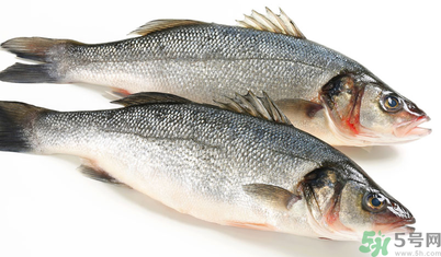 孕妇吃什么海产品比较好(孕妇可以吃的海鲜有哪些)