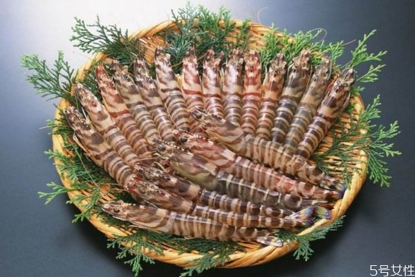 食用竹节虾的注意事项(竹节虾的处理及吃法)